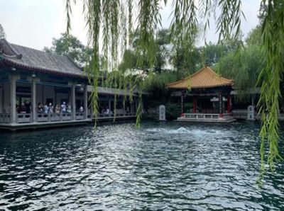 24家主要景区纳客84.4万!济南“泉水游”持续火爆